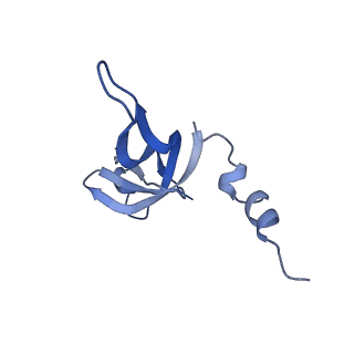 13559_7po1_W_v2-1
Initiation complex of human mitochondrial ribosome small subunit with IF3