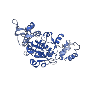 13559_7po1_X_v1-2
Initiation complex of human mitochondrial ribosome small subunit with IF3