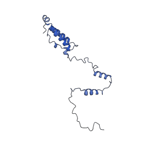 13559_7po1_Y_v1-2
Initiation complex of human mitochondrial ribosome small subunit with IF3