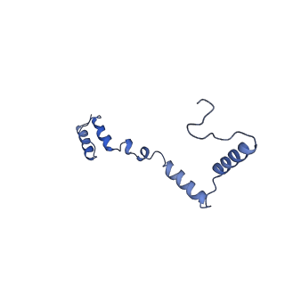 13559_7po1_Z_v1-2
Initiation complex of human mitochondrial ribosome small subunit with IF3