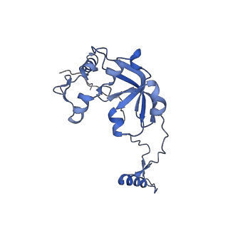 13560_7po2_0_v1-2
Initiation complex of human mitochondrial ribosome small subunit with IF2, fMet-tRNAMet and mRNA