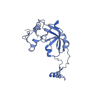 13560_7po2_0_v2-1
Initiation complex of human mitochondrial ribosome small subunit with IF2, fMet-tRNAMet and mRNA