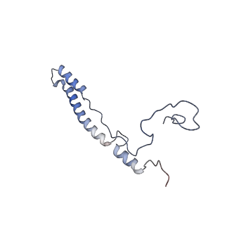 13560_7po2_2_v1-2
Initiation complex of human mitochondrial ribosome small subunit with IF2, fMet-tRNAMet and mRNA