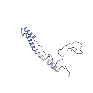 13560_7po2_2_v2-1
Initiation complex of human mitochondrial ribosome small subunit with IF2, fMet-tRNAMet and mRNA