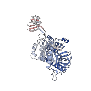 13560_7po2_7_v2-1
Initiation complex of human mitochondrial ribosome small subunit with IF2, fMet-tRNAMet and mRNA