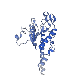 13560_7po2_B_v1-2
Initiation complex of human mitochondrial ribosome small subunit with IF2, fMet-tRNAMet and mRNA