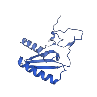 13560_7po2_C_v1-2
Initiation complex of human mitochondrial ribosome small subunit with IF2, fMet-tRNAMet and mRNA