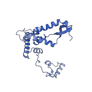 13560_7po2_F_v1-2
Initiation complex of human mitochondrial ribosome small subunit with IF2, fMet-tRNAMet and mRNA