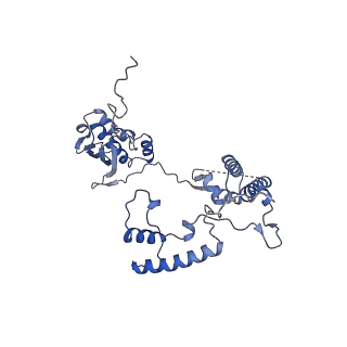 13560_7po2_G_v1-2
Initiation complex of human mitochondrial ribosome small subunit with IF2, fMet-tRNAMet and mRNA