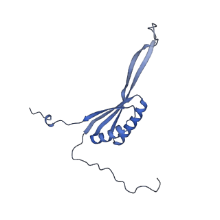 13560_7po2_H_v1-2
Initiation complex of human mitochondrial ribosome small subunit with IF2, fMet-tRNAMet and mRNA