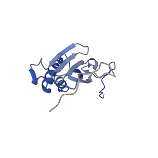 13560_7po2_I_v1-2
Initiation complex of human mitochondrial ribosome small subunit with IF2, fMet-tRNAMet and mRNA