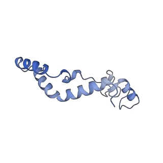 13560_7po2_K_v2-1
Initiation complex of human mitochondrial ribosome small subunit with IF2, fMet-tRNAMet and mRNA
