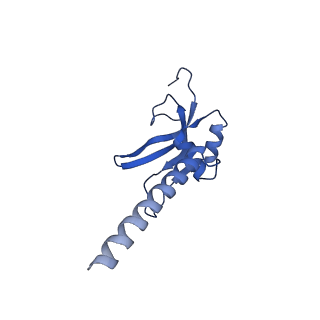 13560_7po2_M_v1-2
Initiation complex of human mitochondrial ribosome small subunit with IF2, fMet-tRNAMet and mRNA