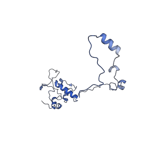 13560_7po2_O_v1-2
Initiation complex of human mitochondrial ribosome small subunit with IF2, fMet-tRNAMet and mRNA