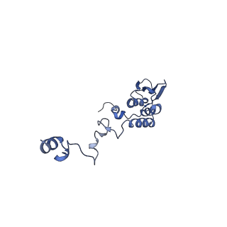 13560_7po2_T_v1-2
Initiation complex of human mitochondrial ribosome small subunit with IF2, fMet-tRNAMet and mRNA