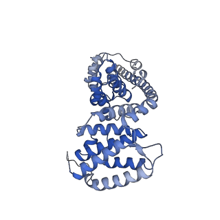 13560_7po2_V_v1-2
Initiation complex of human mitochondrial ribosome small subunit with IF2, fMet-tRNAMet and mRNA