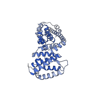 13560_7po2_V_v2-1
Initiation complex of human mitochondrial ribosome small subunit with IF2, fMet-tRNAMet and mRNA