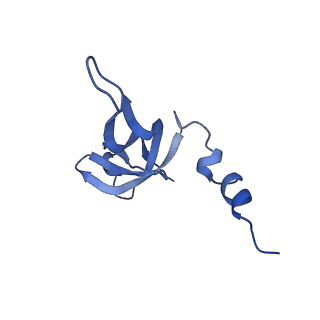 13560_7po2_W_v1-2
Initiation complex of human mitochondrial ribosome small subunit with IF2, fMet-tRNAMet and mRNA