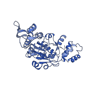 13560_7po2_X_v1-2
Initiation complex of human mitochondrial ribosome small subunit with IF2, fMet-tRNAMet and mRNA