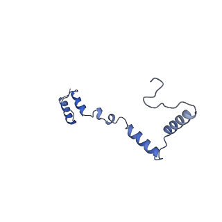 13560_7po2_Z_v1-2
Initiation complex of human mitochondrial ribosome small subunit with IF2, fMet-tRNAMet and mRNA