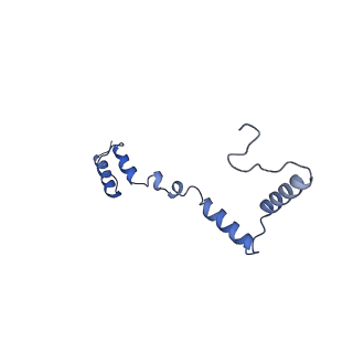 13560_7po2_Z_v2-1
Initiation complex of human mitochondrial ribosome small subunit with IF2, fMet-tRNAMet and mRNA