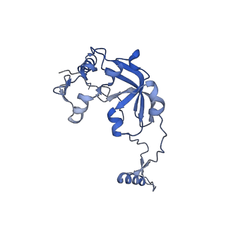 13561_7po3_0_v1-2
Human mitochondrial ribosome small subunit