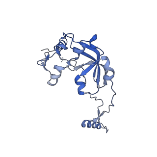 13561_7po3_0_v2-1
Human mitochondrial ribosome small subunit