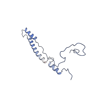 13561_7po3_2_v1-2
Human mitochondrial ribosome small subunit
