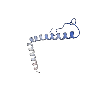 13561_7po3_3_v1-2
Human mitochondrial ribosome small subunit