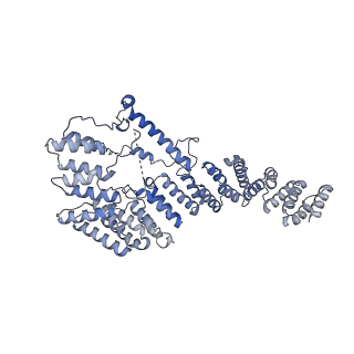 13561_7po3_4_v1-2
Human mitochondrial ribosome small subunit