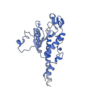 13561_7po3_B_v1-2
Human mitochondrial ribosome small subunit