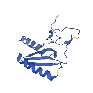 13561_7po3_C_v1-2
Human mitochondrial ribosome small subunit