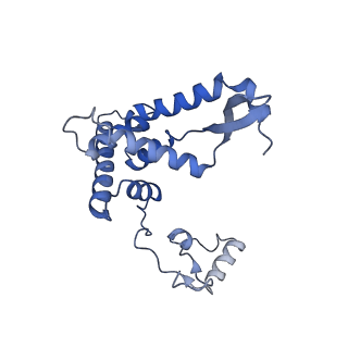 13561_7po3_F_v1-2
Human mitochondrial ribosome small subunit