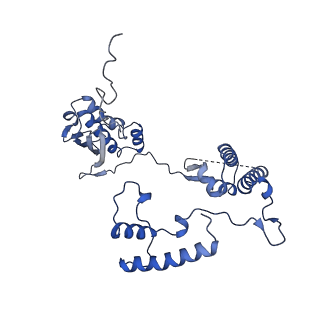 13561_7po3_G_v1-2
Human mitochondrial ribosome small subunit