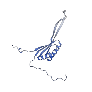 13561_7po3_H_v1-2
Human mitochondrial ribosome small subunit