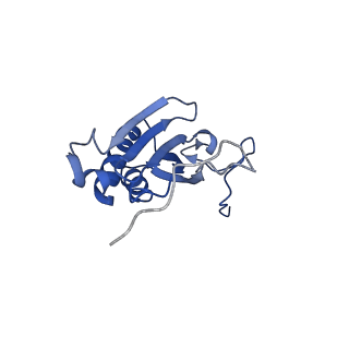 13561_7po3_I_v1-2
Human mitochondrial ribosome small subunit