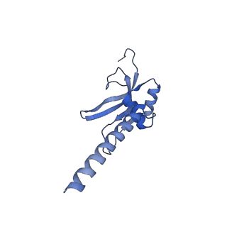 13561_7po3_M_v1-2
Human mitochondrial ribosome small subunit