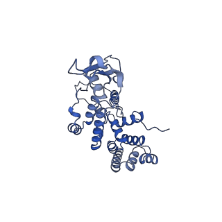 13561_7po3_R_v1-2
Human mitochondrial ribosome small subunit