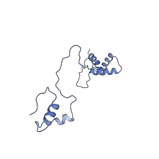 13561_7po3_S_v1-2
Human mitochondrial ribosome small subunit