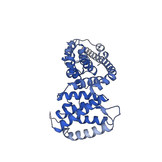 13561_7po3_V_v1-2
Human mitochondrial ribosome small subunit