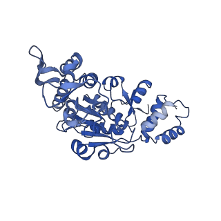 13561_7po3_X_v1-2
Human mitochondrial ribosome small subunit