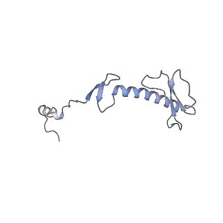 13562_7po4_0_v1-0
Assembly intermediate of human mitochondrial ribosome large subunit (largely unfolded rRNA with MALSU1, L0R8F8 and ACP)