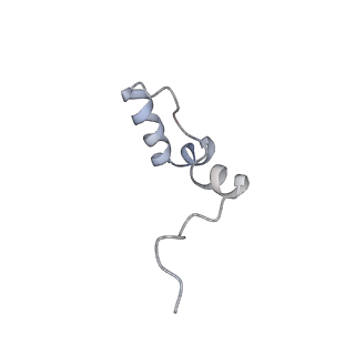 13562_7po4_2_v1-0
Assembly intermediate of human mitochondrial ribosome large subunit (largely unfolded rRNA with MALSU1, L0R8F8 and ACP)