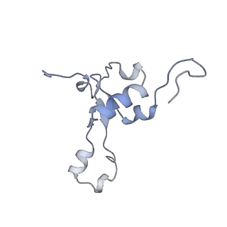 13562_7po4_3_v1-0
Assembly intermediate of human mitochondrial ribosome large subunit (largely unfolded rRNA with MALSU1, L0R8F8 and ACP)