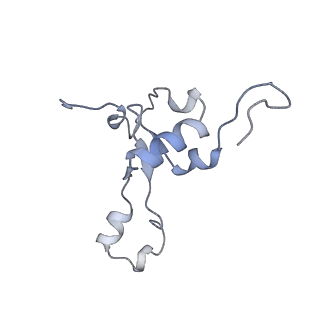 13562_7po4_3_v2-1
Assembly intermediate of human mitochondrial ribosome large subunit (largely unfolded rRNA with MALSU1, L0R8F8 and ACP)