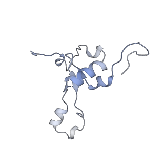 13562_7po4_3_v3-0
Assembly intermediate of human mitochondrial ribosome large subunit (largely unfolded rRNA with MALSU1, L0R8F8 and ACP)