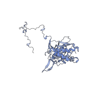 13562_7po4_5_v1-0
Assembly intermediate of human mitochondrial ribosome large subunit (largely unfolded rRNA with MALSU1, L0R8F8 and ACP)