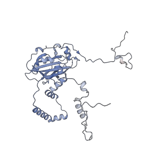 13562_7po4_6_v1-0
Assembly intermediate of human mitochondrial ribosome large subunit (largely unfolded rRNA with MALSU1, L0R8F8 and ACP)