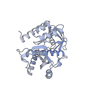 13562_7po4_7_v1-0
Assembly intermediate of human mitochondrial ribosome large subunit (largely unfolded rRNA with MALSU1, L0R8F8 and ACP)