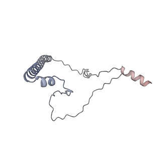 13562_7po4_8_v1-0
Assembly intermediate of human mitochondrial ribosome large subunit (largely unfolded rRNA with MALSU1, L0R8F8 and ACP)